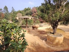 -泉州海丝野生动物世界