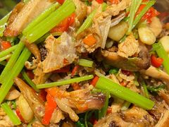 -一撮毛美食城(全力一路店)