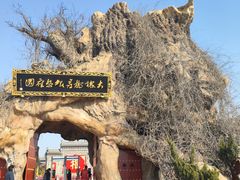 -大槐树寻根祭祖园