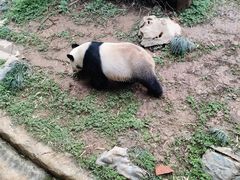 -南昌动物园