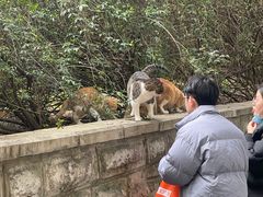 -文昌阁