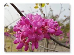 -白塘生态植物园