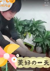 点击看大图 -芳香乐府SPA·五行芳疗