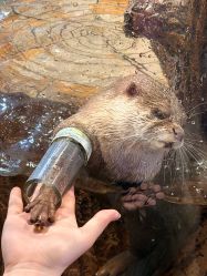 -Zoolung Zoolung动物主题公园(海信广场店)
