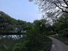 -西湖游船