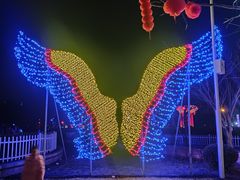 -曹州牡丹园