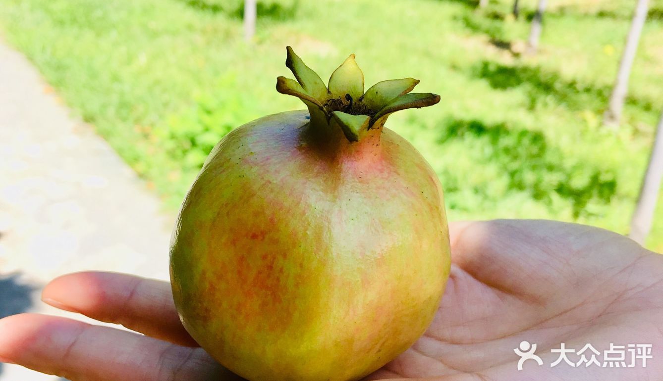 31-20摄氏度，吹着风温度还超级舒服