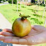 31-20摄氏度，吹着风温度还超级舒服