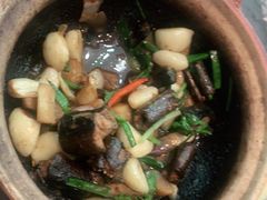 啫啫黄鳝煲-大榕树下顺德菜(融创茂店)