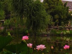 -郑州植物园