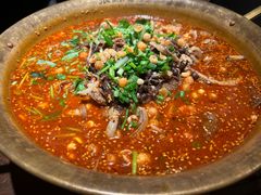 -张翻越·川渝冒菜·武汉黑鸭煲(城北万象城店)