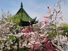 -无锡蠡湖国家湿地公园-蠡园