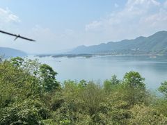 -仙岛湖旅游风景区