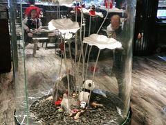 -红辣椒·川菜·火锅(张杨路店)