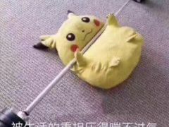 -王二甩老木子鸡(江湾店)