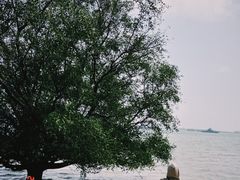 -霞山观海长廊