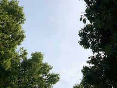 -东海大峡谷