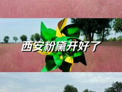 -汉长安城未央宫国家考古遗址公园