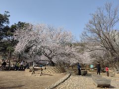 -北京西山国家森林公园