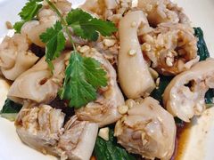 沙姜拌猪手-有心德(隆生店)