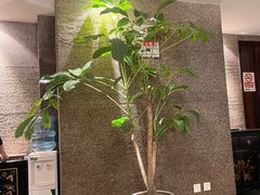 -花家怡园