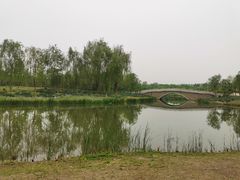 -东郊湿地公园