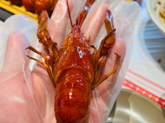 -肥肥虾庄·金牌油焖大虾(汉口城市广场店)