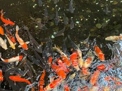 -广东大厦酒店(广州北京路步行街纪念堂地铁站店)