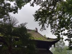 -青城山