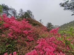 -木兰云雾山