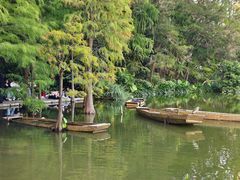 -深圳仙湖植物园