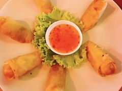 -Red Lobster
