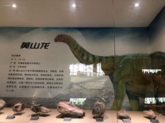 -安徽省地质博物馆