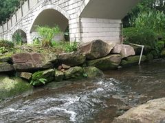 -重庆彩云湖湿地公园