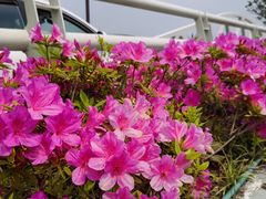 -万达广场(南京江宁店)