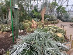 -北京植物园-展览温室