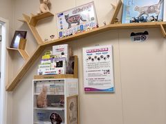 -美联众合爱康动物医院•复杂内科•肿瘤科•牙科•腔镜诊疗中心