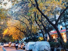 -婕妮璐超市 Jenny Lou’s Shop(三里屯店)