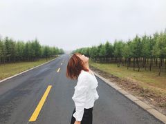 -塞罕坝国家级自然保护区