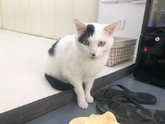 -菠萝格斗巴西柔术训练馆