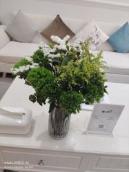 -HEYAN荷妍专业脱毛连锁机构
