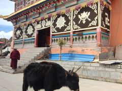 -孜珠寺