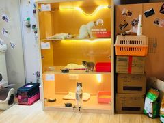 -Pets First伊珊娜洗护·精致美容·家庭式寄养(新会路店)