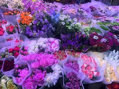 -花鸟鱼虫鲜花绿植市场(玉泉路店)