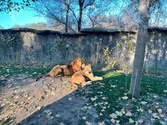 -北京野生动物园