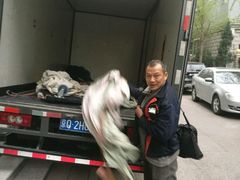 -和平搬家公司