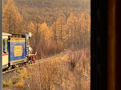 -莫尔道嘎国家森林公园