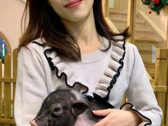 -藦茜花园宠物主题亲子互动体验馆(国顺东路店)
