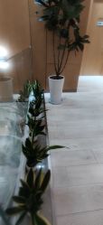 点击看大图 -智美品质医美