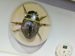 -陕西自然博物馆